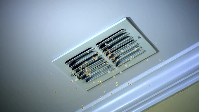 Best Residential Air Duct Cleaning  in Perry, FL